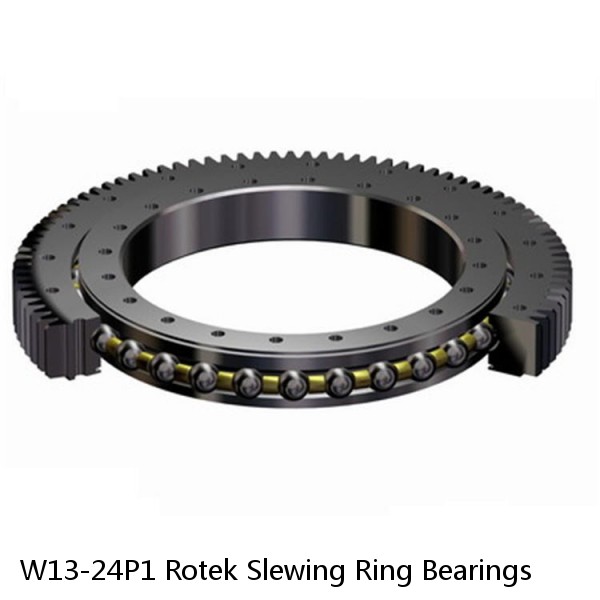 W13-24P1 Rotek Slewing Ring Bearings