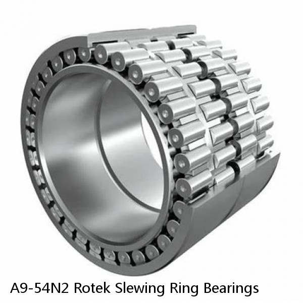 A9-54N2 Rotek Slewing Ring Bearings