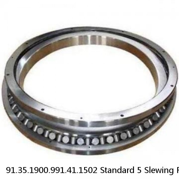 91.35.1900.991.41.1502 Standard 5 Slewing Ring Bearings