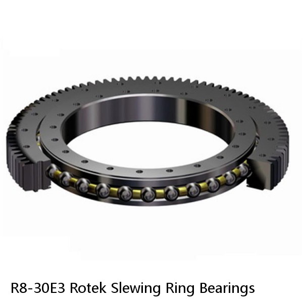 R8-30E3 Rotek Slewing Ring Bearings