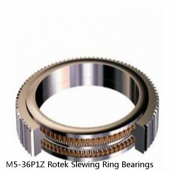 M5-36P1Z Rotek Slewing Ring Bearings