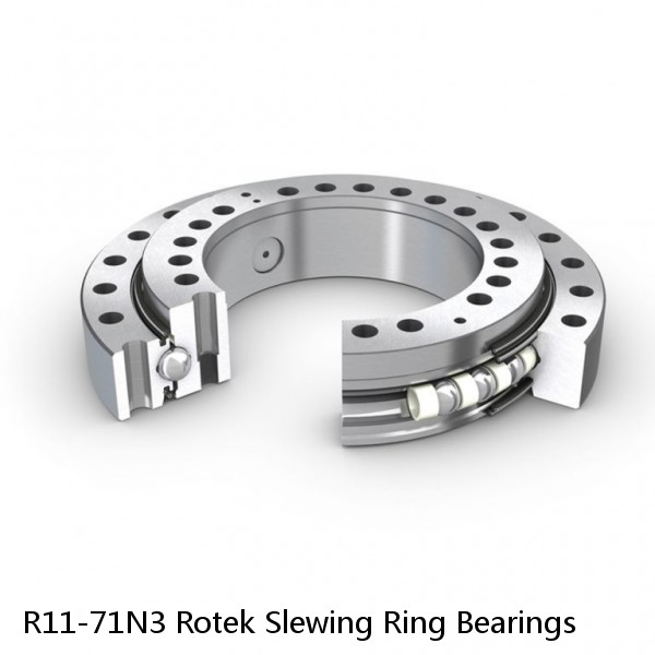 R11-71N3 Rotek Slewing Ring Bearings