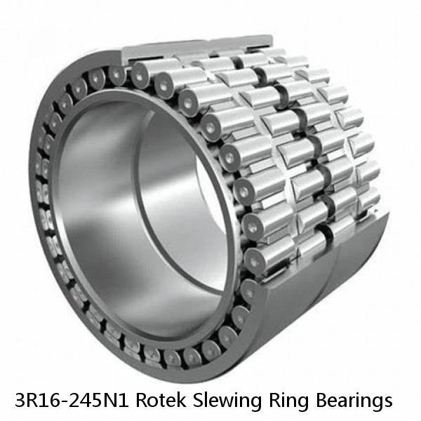 3R16-245N1 Rotek Slewing Ring Bearings