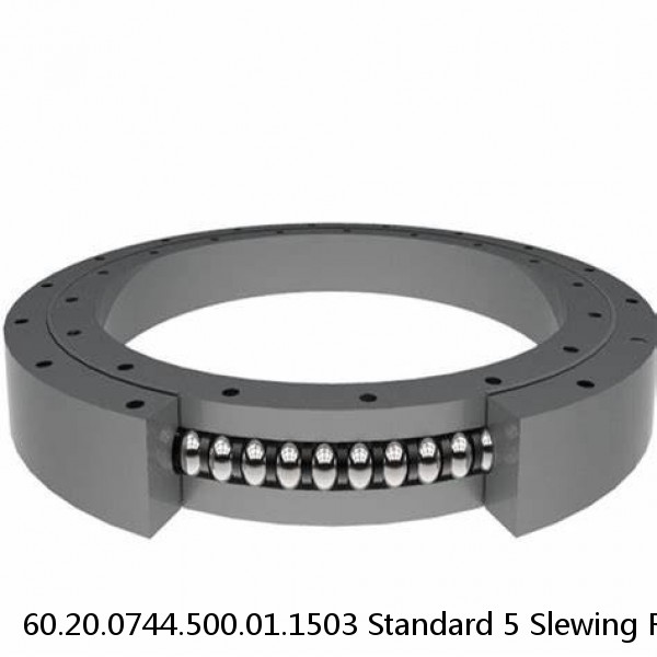 60.20.0744.500.01.1503 Standard 5 Slewing Ring Bearings