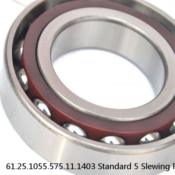 61.25.1055.575.11.1403 Standard 5 Slewing Ring Bearings