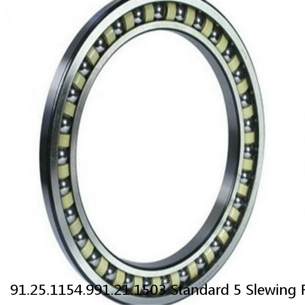 91.25.1154.991.21.1503 Standard 5 Slewing Ring Bearings