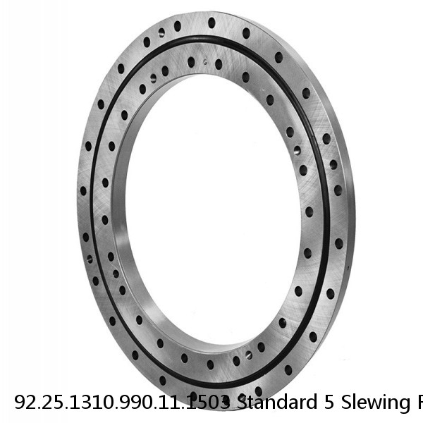 92.25.1310.990.11.1503 Standard 5 Slewing Ring Bearings