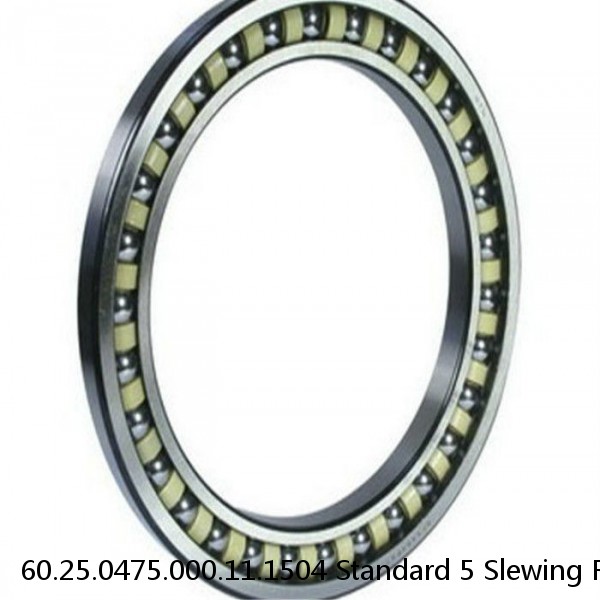 60.25.0475.000.11.1504 Standard 5 Slewing Ring Bearings