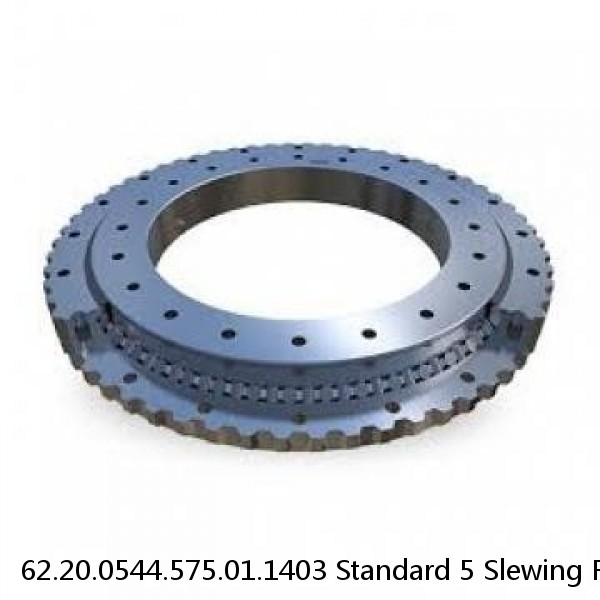 62.20.0544.575.01.1403 Standard 5 Slewing Ring Bearings