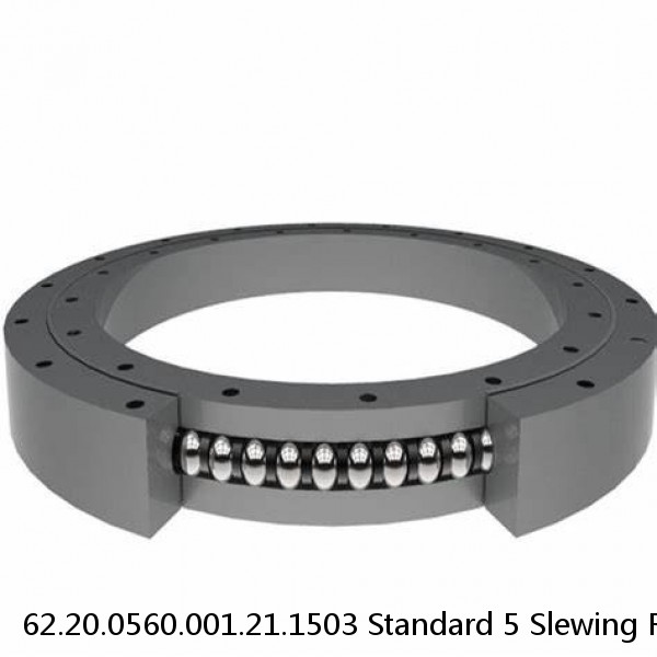 62.20.0560.001.21.1503 Standard 5 Slewing Ring Bearings