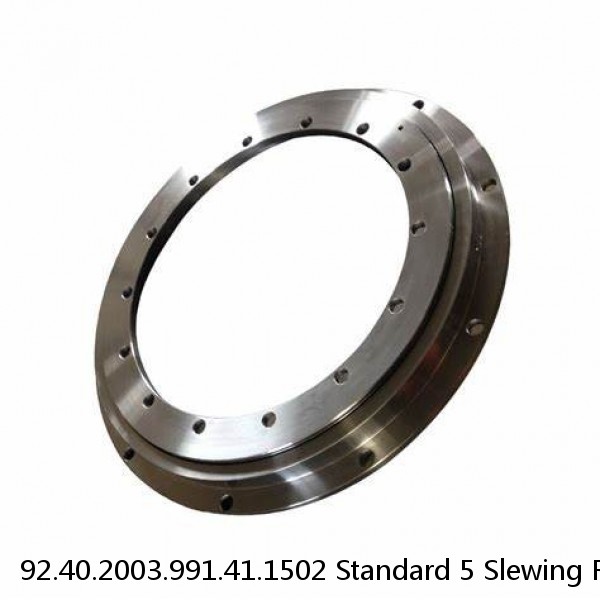 92.40.2003.991.41.1502 Standard 5 Slewing Ring Bearings