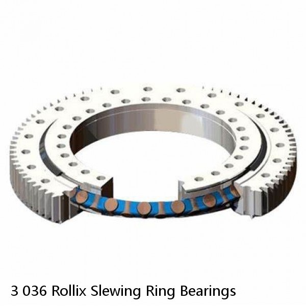 3 036 Rollix Slewing Ring Bearings