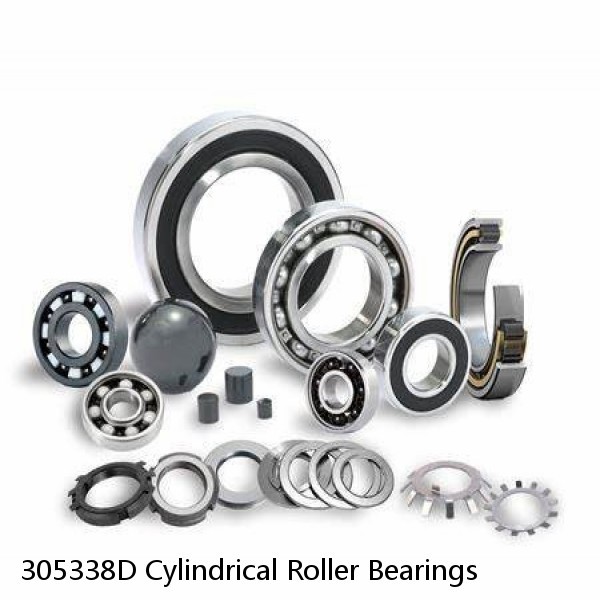 305338D Cylindrical Roller Bearings