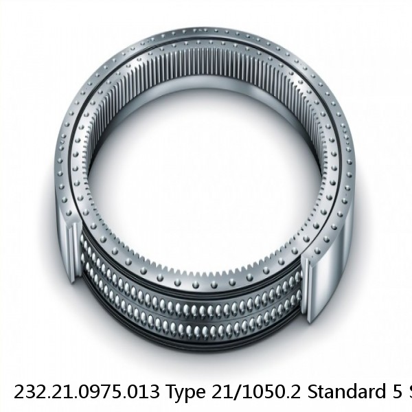 232.21.0975.013 Type 21/1050.2 Standard 5 Slewing Ring Bearings