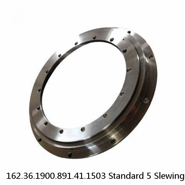 162.36.1900.891.41.1503 Standard 5 Slewing Ring Bearings