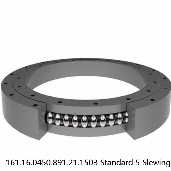 161.16.0450.891.21.1503 Standard 5 Slewing Ring Bearings