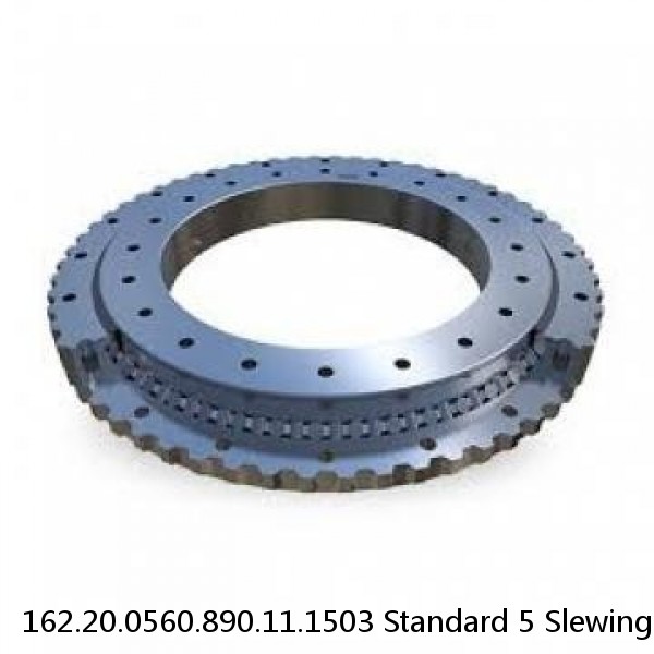 162.20.0560.890.11.1503 Standard 5 Slewing Ring Bearings