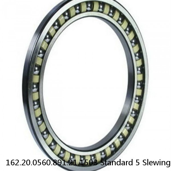 162.20.0560.891.21.1503 Standard 5 Slewing Ring Bearings