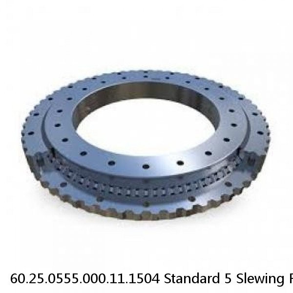 60.25.0555.000.11.1504 Standard 5 Slewing Ring Bearings