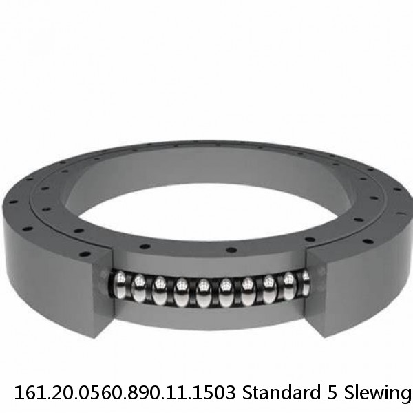 161.20.0560.890.11.1503 Standard 5 Slewing Ring Bearings