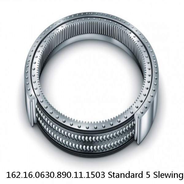 162.16.0630.890.11.1503 Standard 5 Slewing Ring Bearings