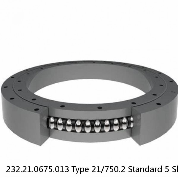 232.21.0675.013 Type 21/750.2 Standard 5 Slewing Ring Bearings