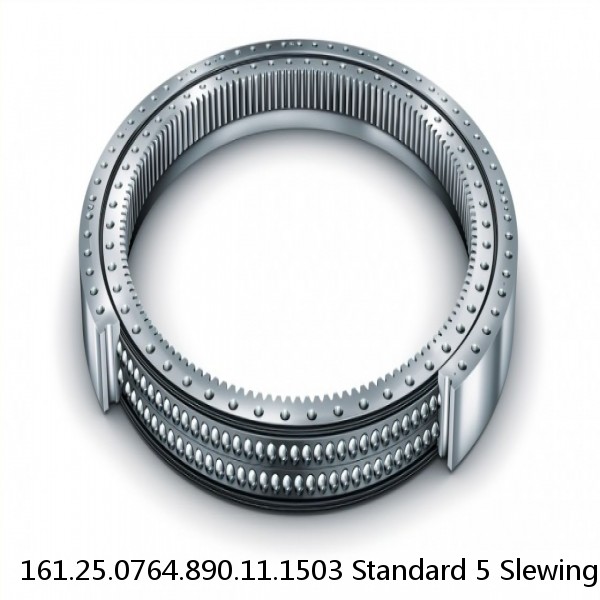 161.25.0764.890.11.1503 Standard 5 Slewing Ring Bearings