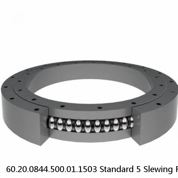 60.20.0844.500.01.1503 Standard 5 Slewing Ring Bearings