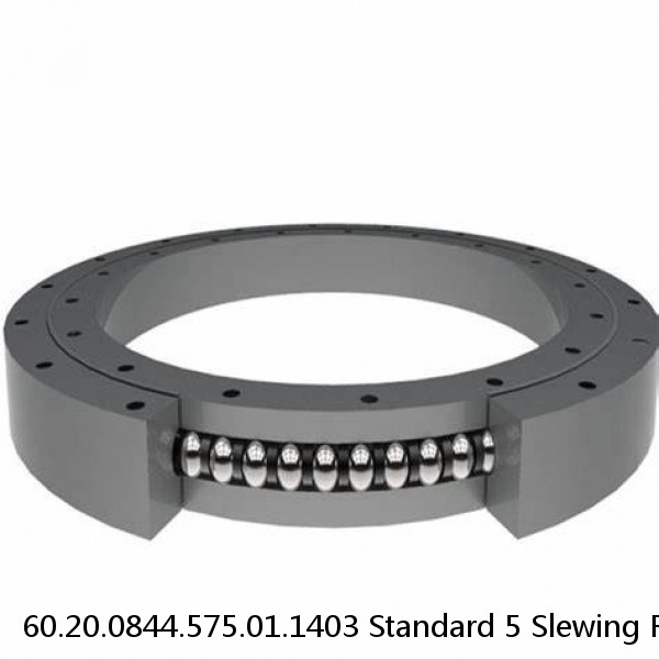 60.20.0844.575.01.1403 Standard 5 Slewing Ring Bearings