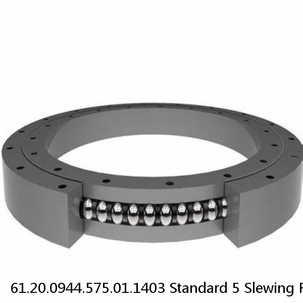 61.20.0944.575.01.1403 Standard 5 Slewing Ring Bearings