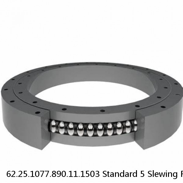 62.25.1077.890.11.1503 Standard 5 Slewing Ring Bearings