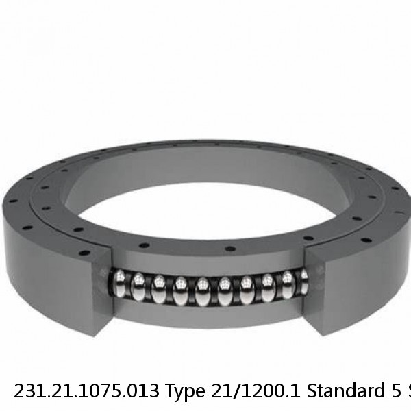 231.21.1075.013 Type 21/1200.1 Standard 5 Slewing Ring Bearings