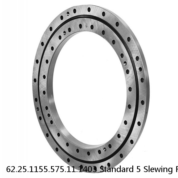 62.25.1155.575.11.1403 Standard 5 Slewing Ring Bearings