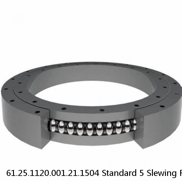 61.25.1120.001.21.1504 Standard 5 Slewing Ring Bearings