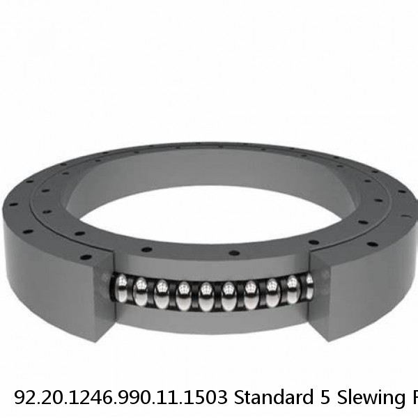 92.20.1246.990.11.1503 Standard 5 Slewing Ring Bearings