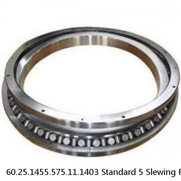 60.25.1455.575.11.1403 Standard 5 Slewing Ring Bearings