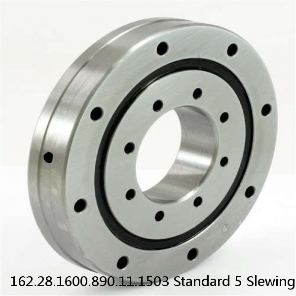 162.28.1600.890.11.1503 Standard 5 Slewing Ring Bearings