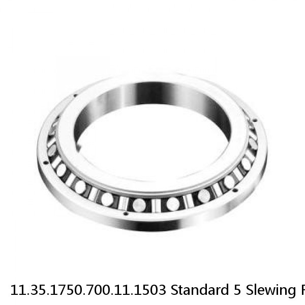 11.35.1750.700.11.1503 Standard 5 Slewing Ring Bearings