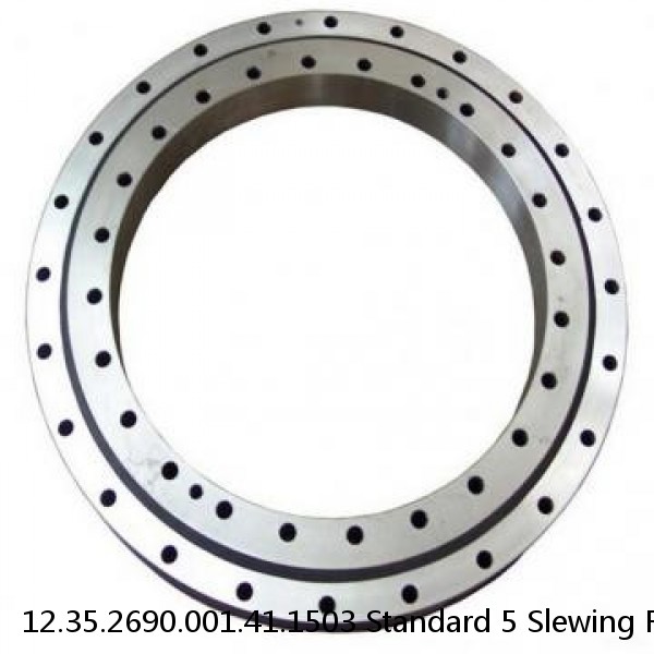 12.35.2690.001.41.1503 Standard 5 Slewing Ring Bearings