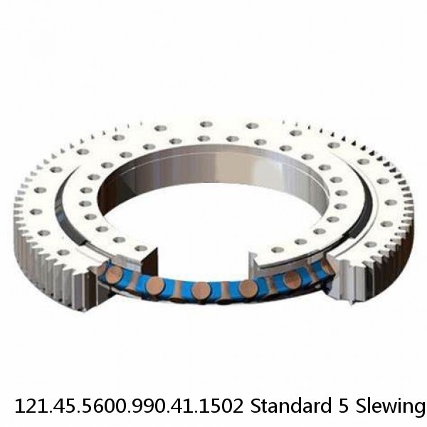 121.45.5600.990.41.1502 Standard 5 Slewing Ring Bearings