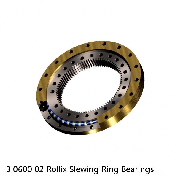 3 0600 02 Rollix Slewing Ring Bearings