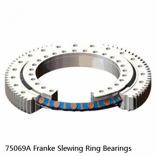 75069A Franke Slewing Ring Bearings