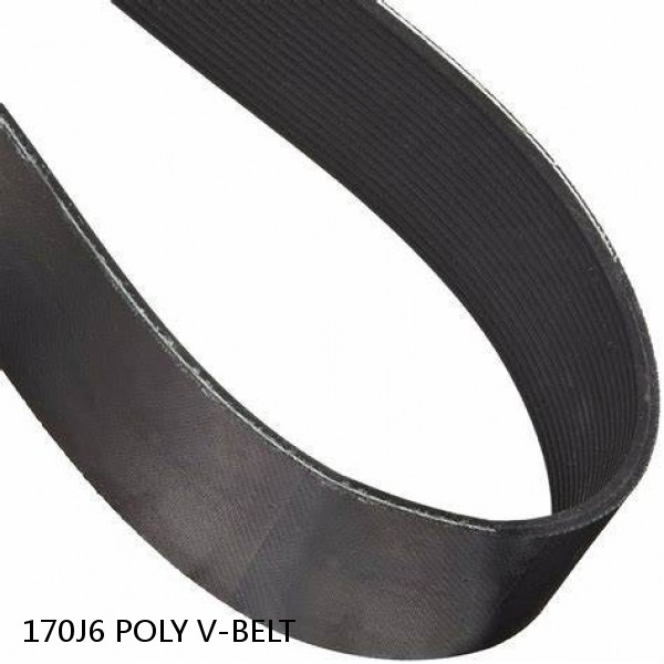 170J6 POLY V-BELT